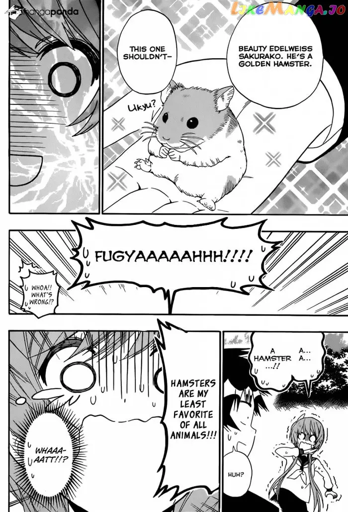 Nisekoi Chapter 142 image 15_optimized